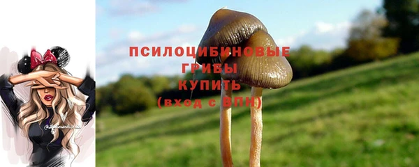 герыч Лиски