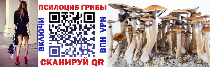Псилоцибиновые грибы мухоморы  Стародуб 