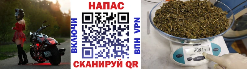 мега ссылка  Стародуб  Бошки марихуана White Widow  купить наркоту 